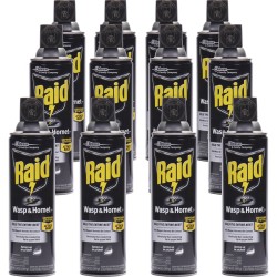 INSECTICIDE,WASP&HORNT,RAID INSECTICIDE,WASP&HORNT,RAID