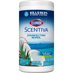 WIPES,DSNFCT,75CNT WIPES,DSNFCT,75CNT