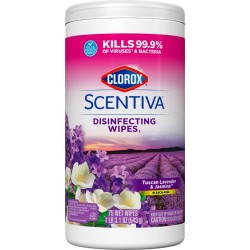 WIPES,DSNFCT,75CNT WIPES,DSNFCT,75CNT