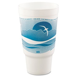 CUP,32OZ,HORIZON,TL,16/25 CUP,32OZ,HORIZON,TL,16/25