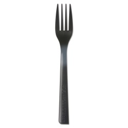 FORK,100% RECYCLE,BK FORK,100% RECYCLE,BK