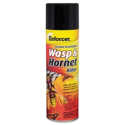 INSECTICIDE,WASP/HORNET INSECTICIDE,WASP/HORNET