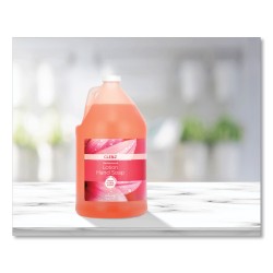 SOAP,HAND,1GL,FRESH FLRL SOAP,HAND,1GL,FRESH FLRL