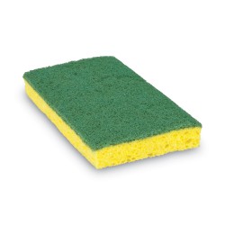 SPONGE,SCRB,MDTY,6/10 SPONGE,SCRB,MDTY,6/10