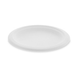 PLATE,EARTHCHOICE 6",NT PLATE,EARTHCHOICE 6",NT